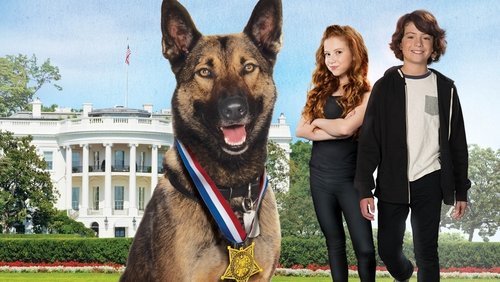 Max 2: White House Hero - Chú Chó Max 2: Cứu Tinh Nhà Trắng - Hình 5