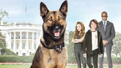 Max 2: White House Hero - Chú Chó Max 2: Cứu Tinh Nhà Trắng - Hình 3
