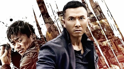 Kung Fu Jungle - Kế Hoạch Bí Ẩn - Hình 4