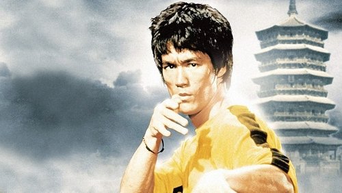 Game Of Death - Tử Vong Du Hý - Hình 6