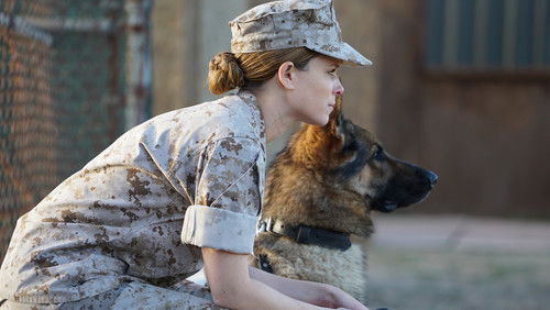 Megan Leavey - Hạ Sĩ Megan - Hình 6