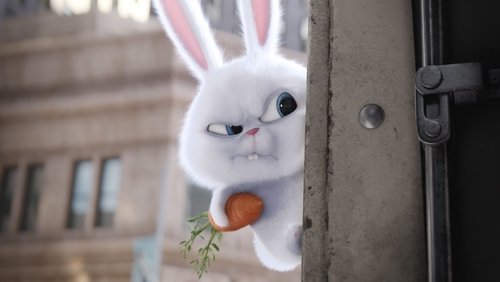 The Secret Life of Pets - Đẳng Cấp Thú Cưng - Hình 1