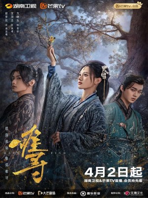 Nan Tầm (2024)