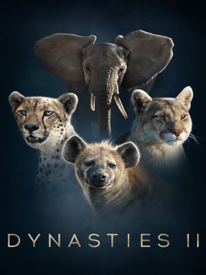 Dynasties II (2022)