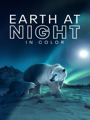 Earth at Night in Color (2020)
