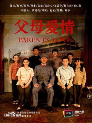 Chuyện Tình Lãng Mạn Của Cha Mẹ Chúng Ta (2014)