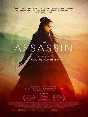 Thích Khách Nhiếp Ẩn Nương (2015)