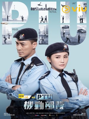 Đội Cơ Động