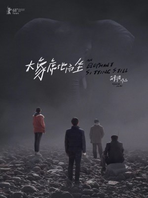 Chú Voi Ngồi Im Trên Đất (2018)
