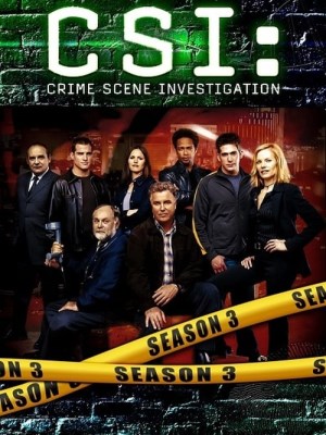 CSI: Đội Điều Tra Hiện Trường (Mùa 3) (2002)