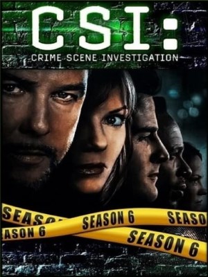 CSI: Đội Điều Tra Hiện Trường (Mùa 6) (2005)