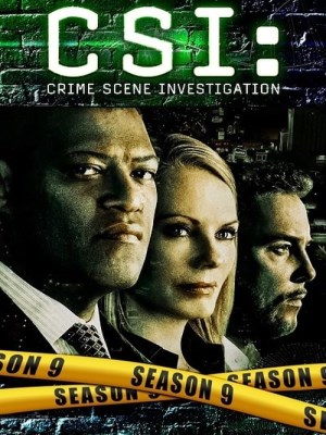 CSI: Đội Điều Tra Hiện Trường (Mùa 9) (2008)