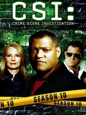 CSI: Đội Điều Tra Hiện Trường (Mùa 10) (2009)