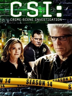 CSI: Đội Điều Tra Hiện Trường (Mùa 14) (2013)