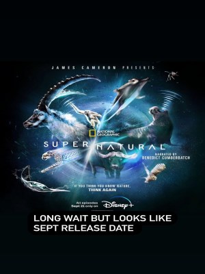 Super/Natural (2022)