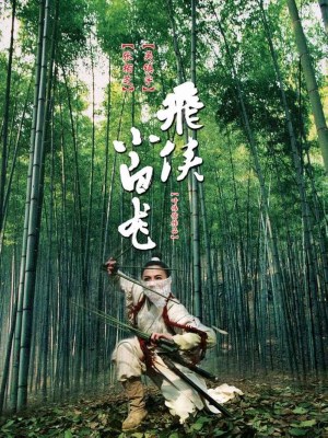 Phi Hiệp Tiểu Bạch Long (2004)