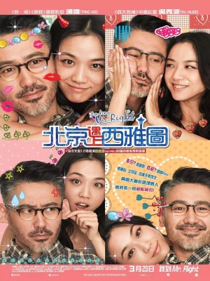 Truy Tìm Người Hoàn Hảo (2013)