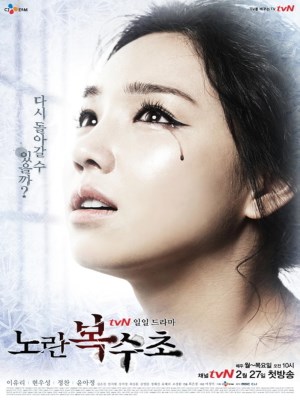 Lửa Hận Tình Thù (2012)
