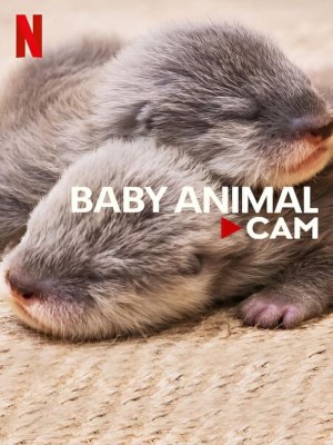 Động Vật Bé Cưng Trên Camera (2023)