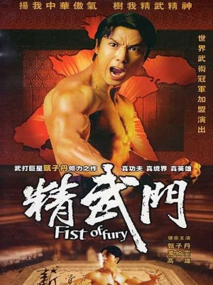 Tinh Võ Môn (1995)
